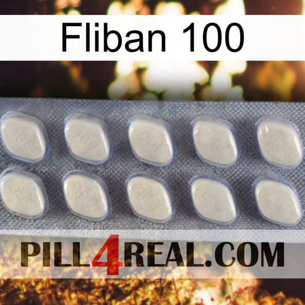 Fliban 100 08.jpg